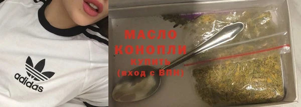 гидра Краснослободск