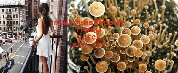 гидра Краснослободск