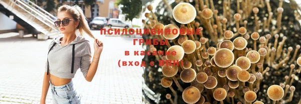 гидра Краснослободск