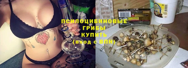 гидра Краснослободск