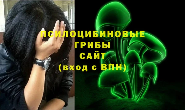 гидра Краснослободск